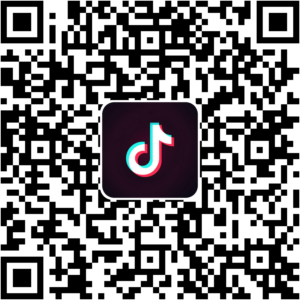 抖音小程序
